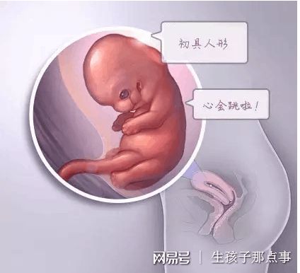 李晴阳院长